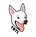 Shelter Logo 11