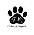 Shelter Logo 6