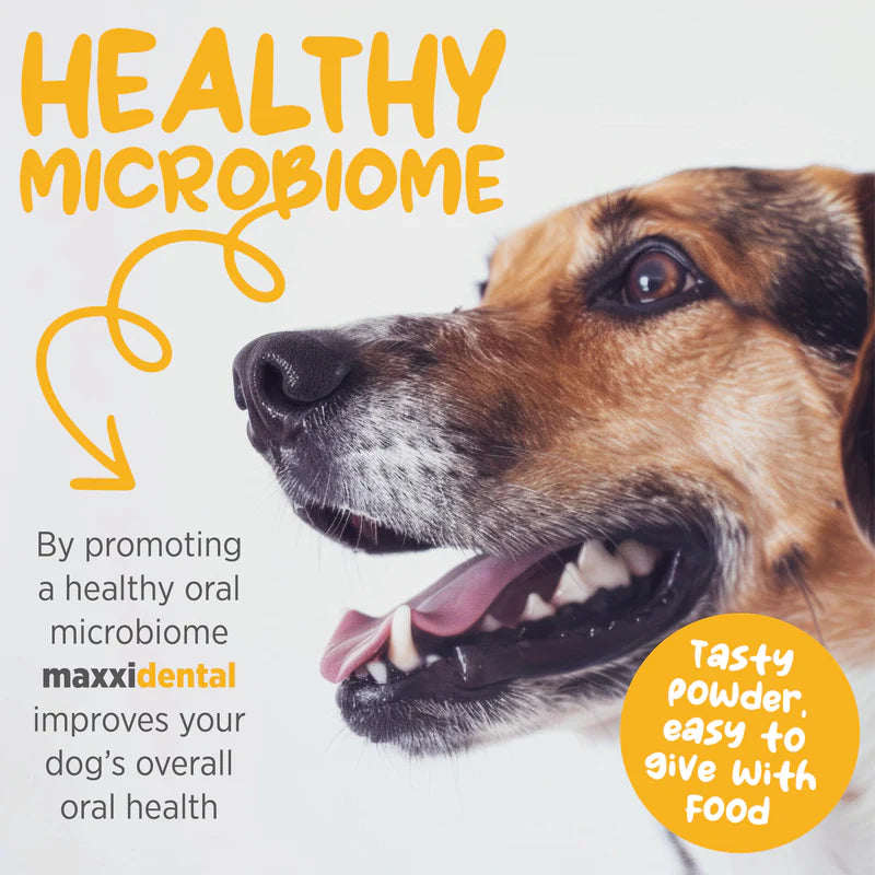MaxxiPaws - MaxxiDental for Dogs (140g)