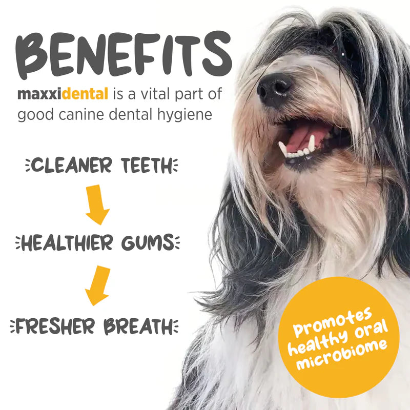 MaxxiPaws - MaxxiDental for Dogs (140g)