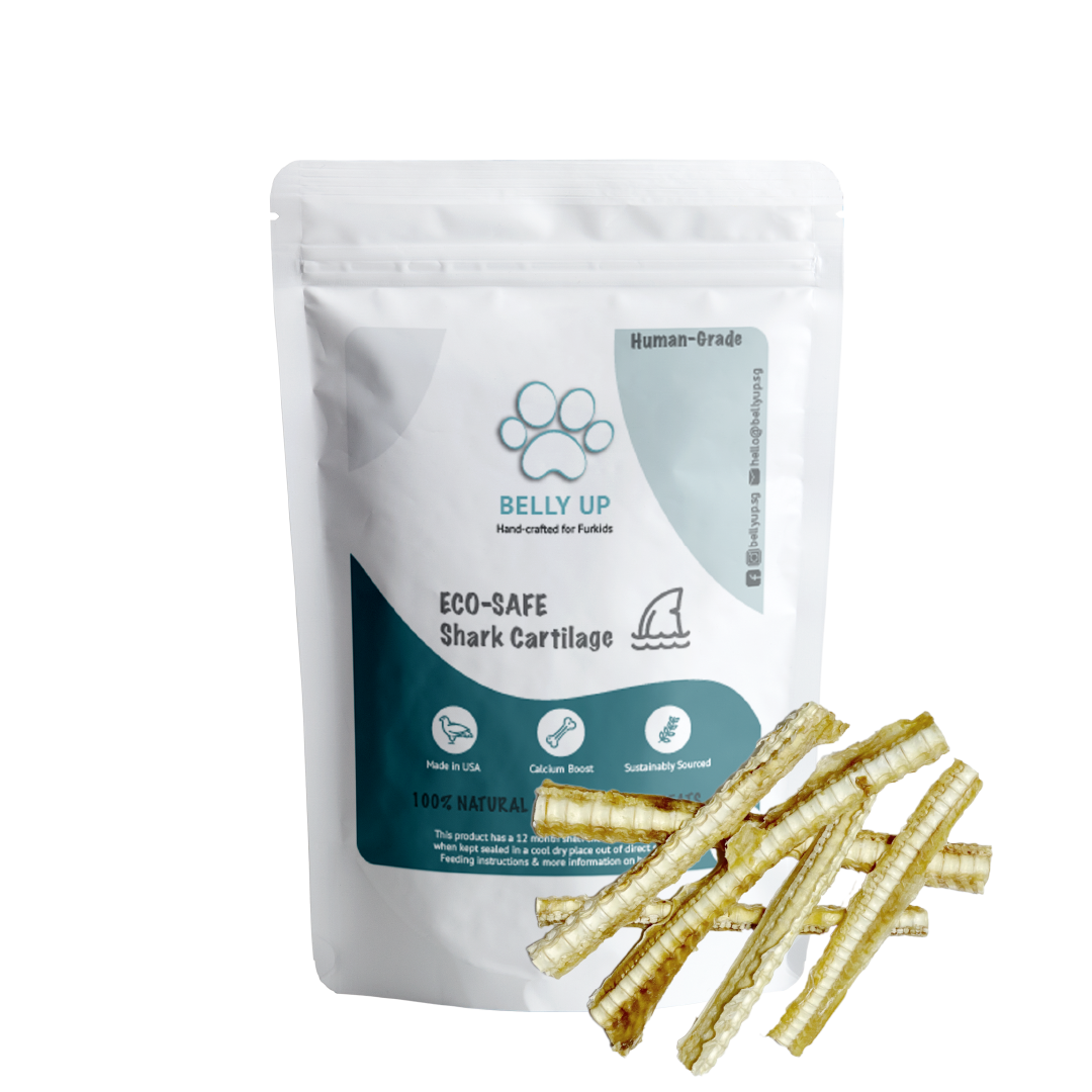 Belly Up - Shark Cartilage (70g)