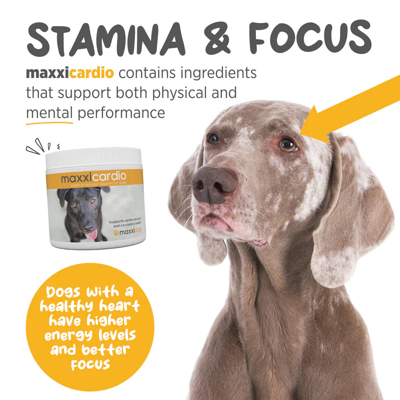 MaxxiCardio for Dogs (90g)