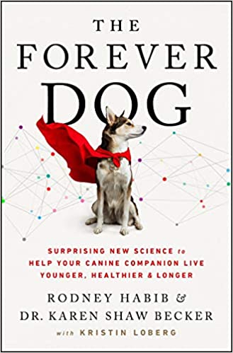 The Forever Dog (Trade Paperback)