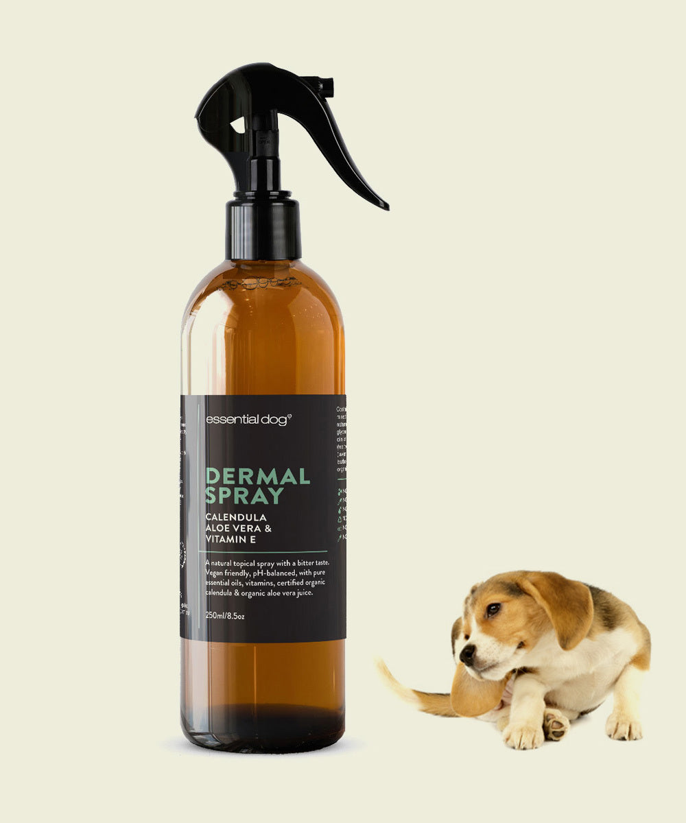 Essential Dog Anti-Itch Spray: Aloe Vera, Calendula and Vitamin E (250ml)