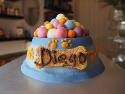 Dog Bowl Cake