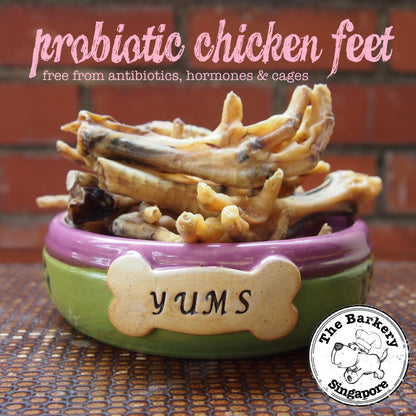 Probiotic Chicken Feet