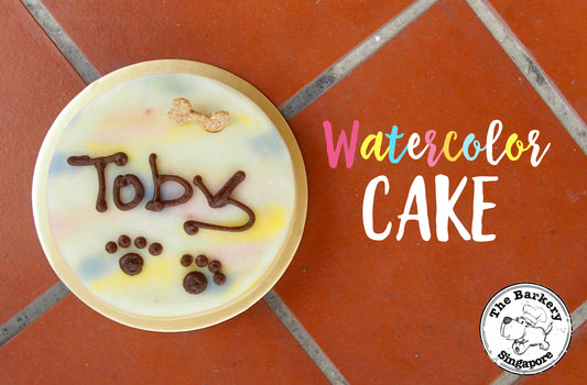 Watercolour Cake