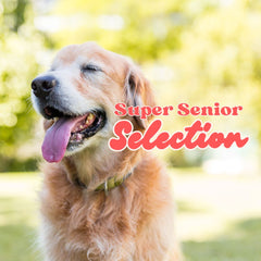 For Senior Snouts