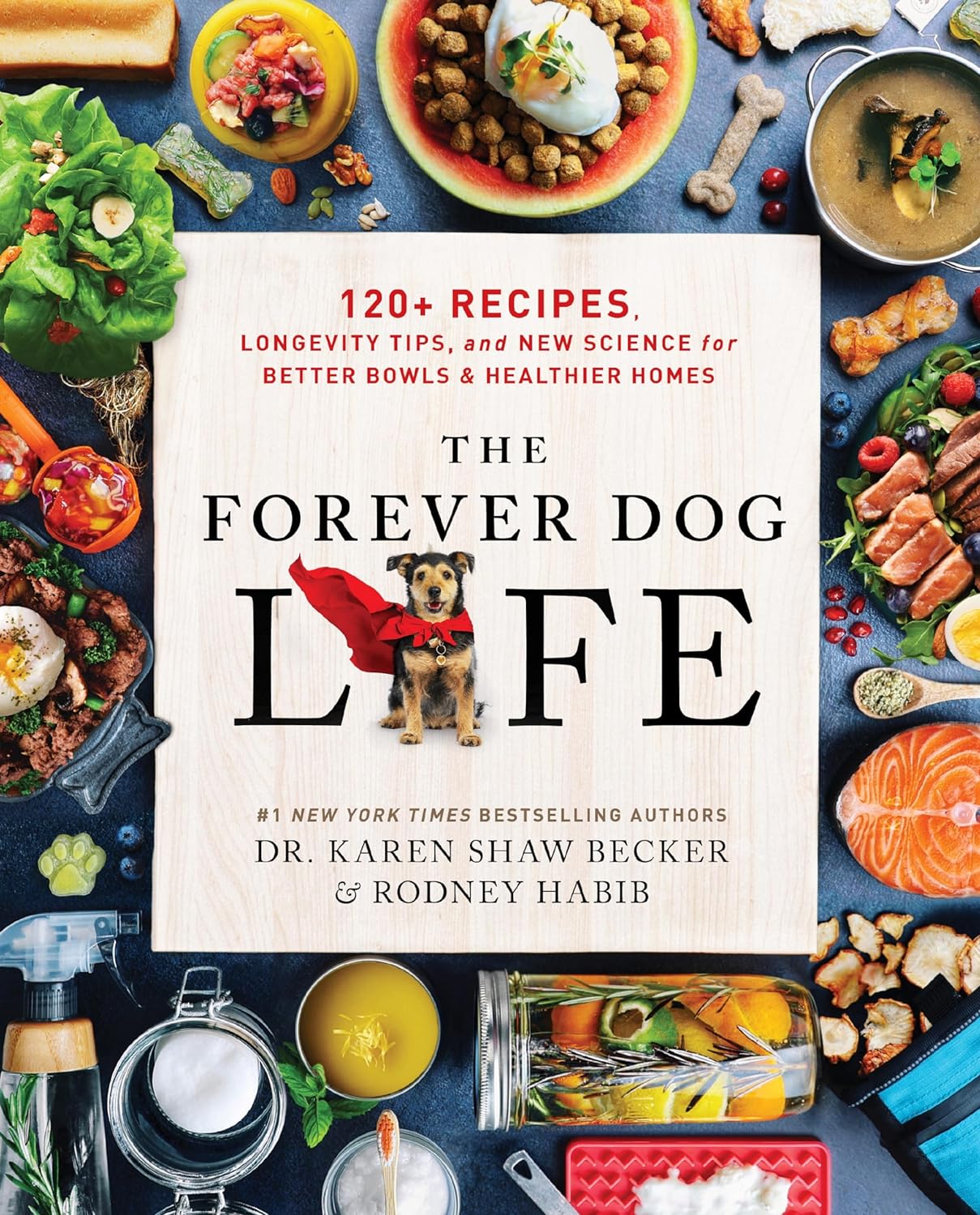 The Forever Dog LIFE (Hardcover)