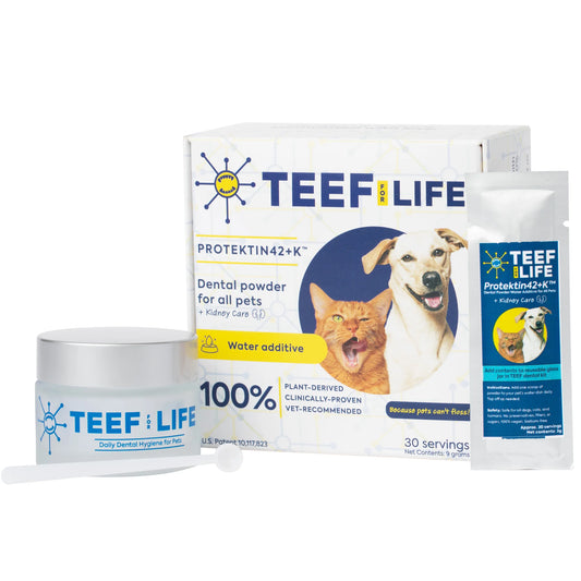 Teef Protekin Dental Prebiotics for Dogs