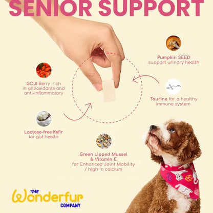 Wonderfur - Senior Support