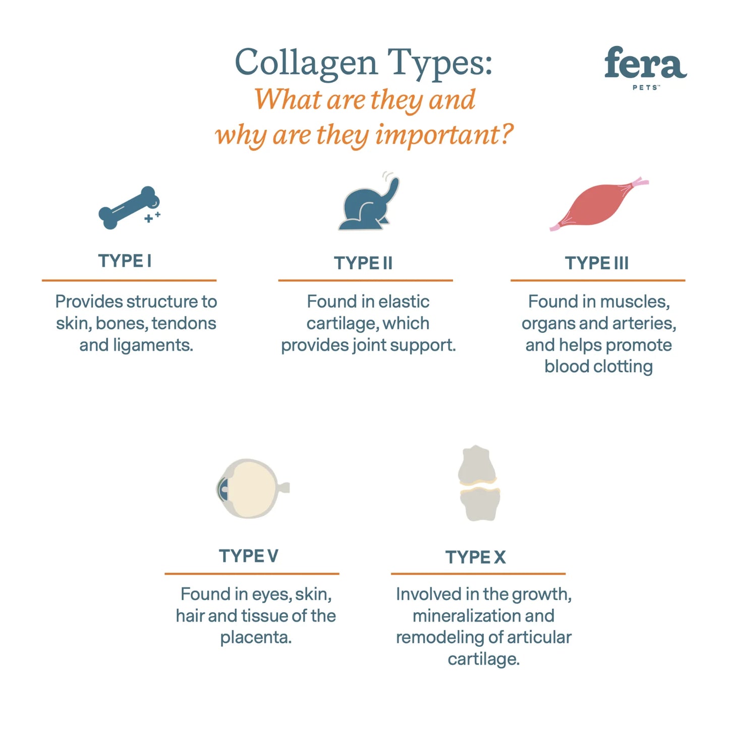 Fera Collagen Plus