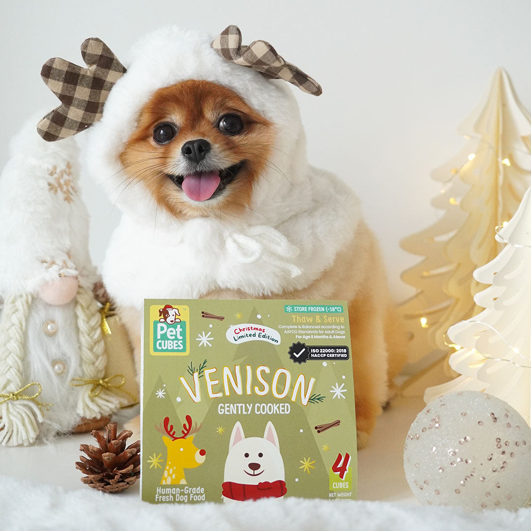 PetCubes Festive Venison for Dogs