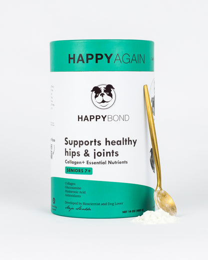 Happy Bond - Happy Again (For Seniors)