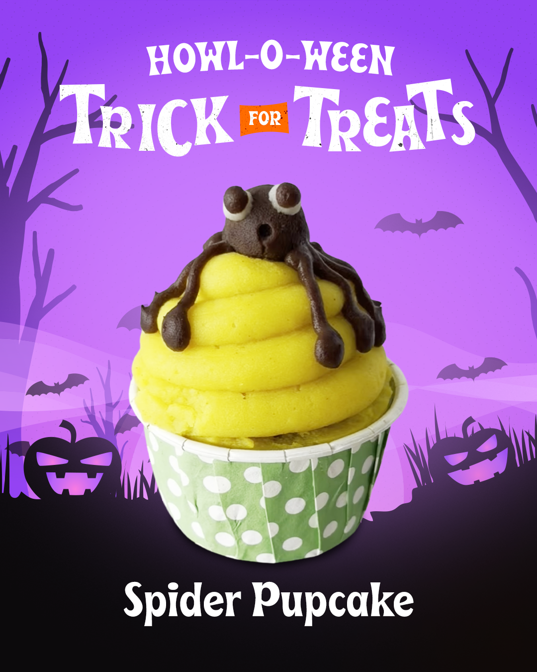 Halloween Spider Pupcake dog cupcake with spider frosting