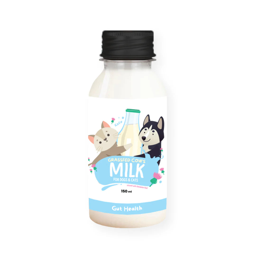 Pet Cubes Milk Kefir