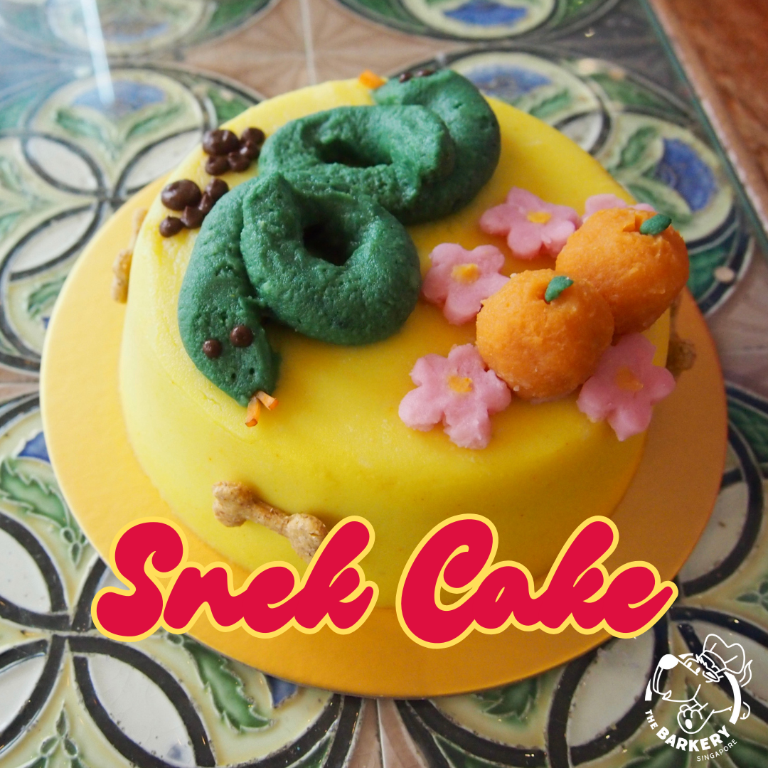 Snekky Snake Cake