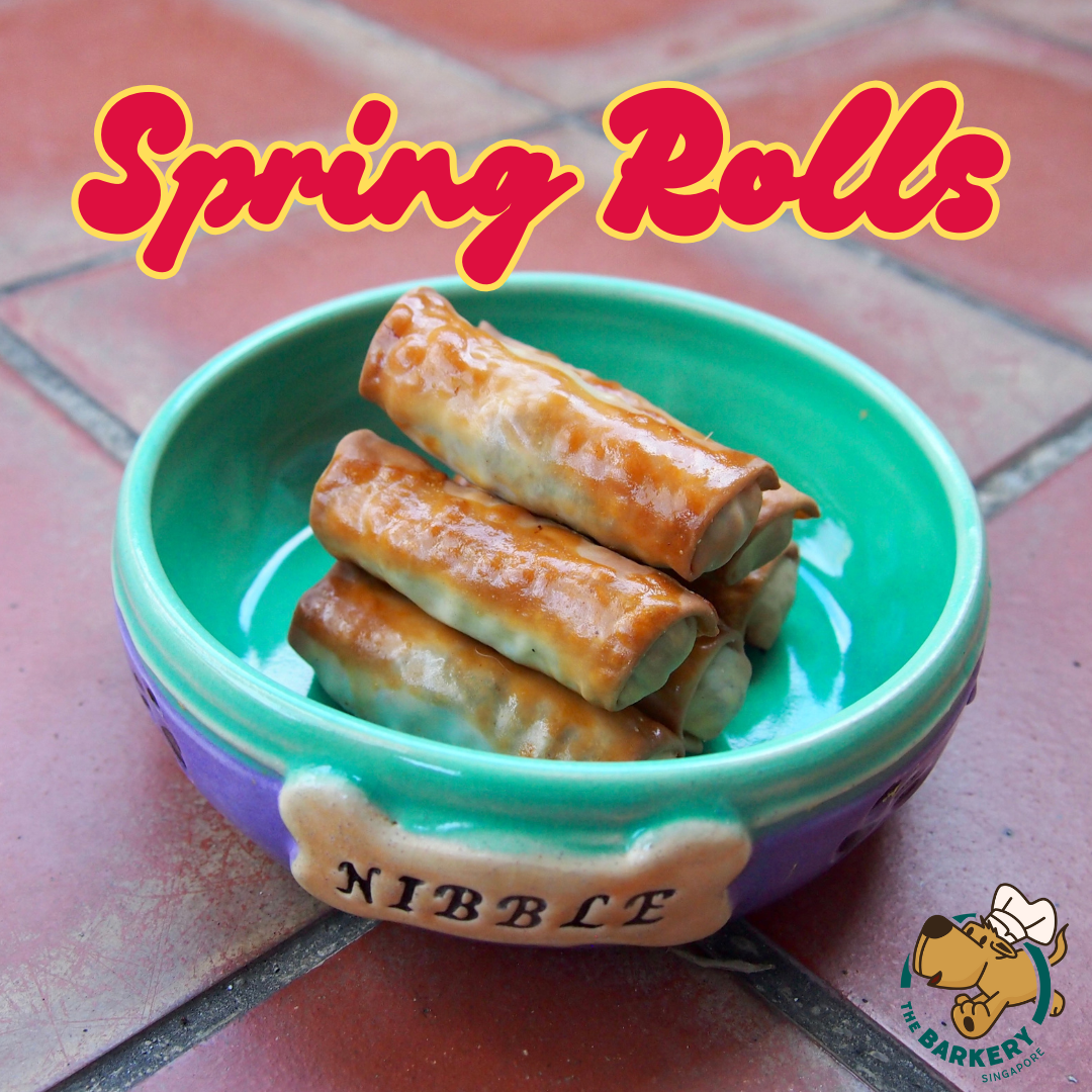 Duck Spring Rolls