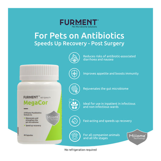 [Prescription Only] MegaCor 60 Capsules