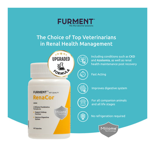 [Prescription Only] RenaCor 60 Capsules