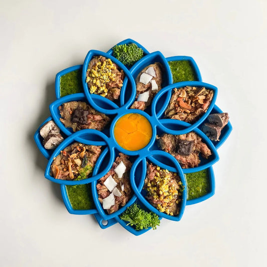 SodaPup Mandala Enrichment Tray
