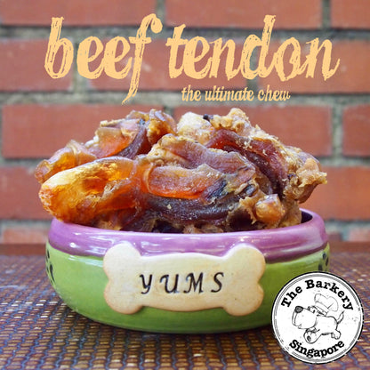 Beef Tendons