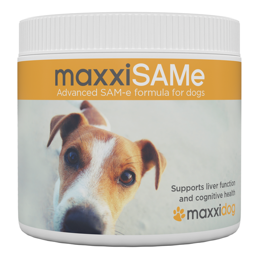 MaxxiSAMe for Dogs